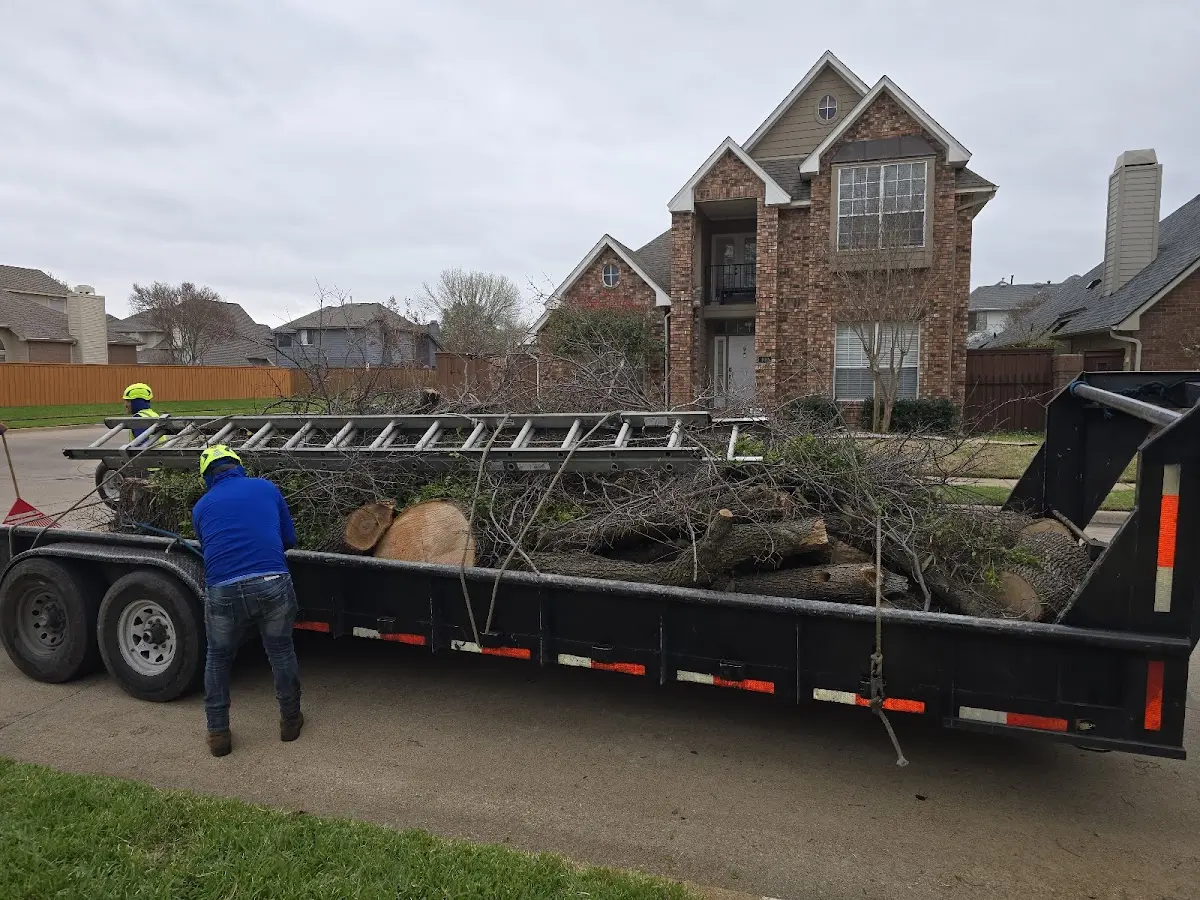 Expert Tree Fertilization with proper safety equipment in Leonard